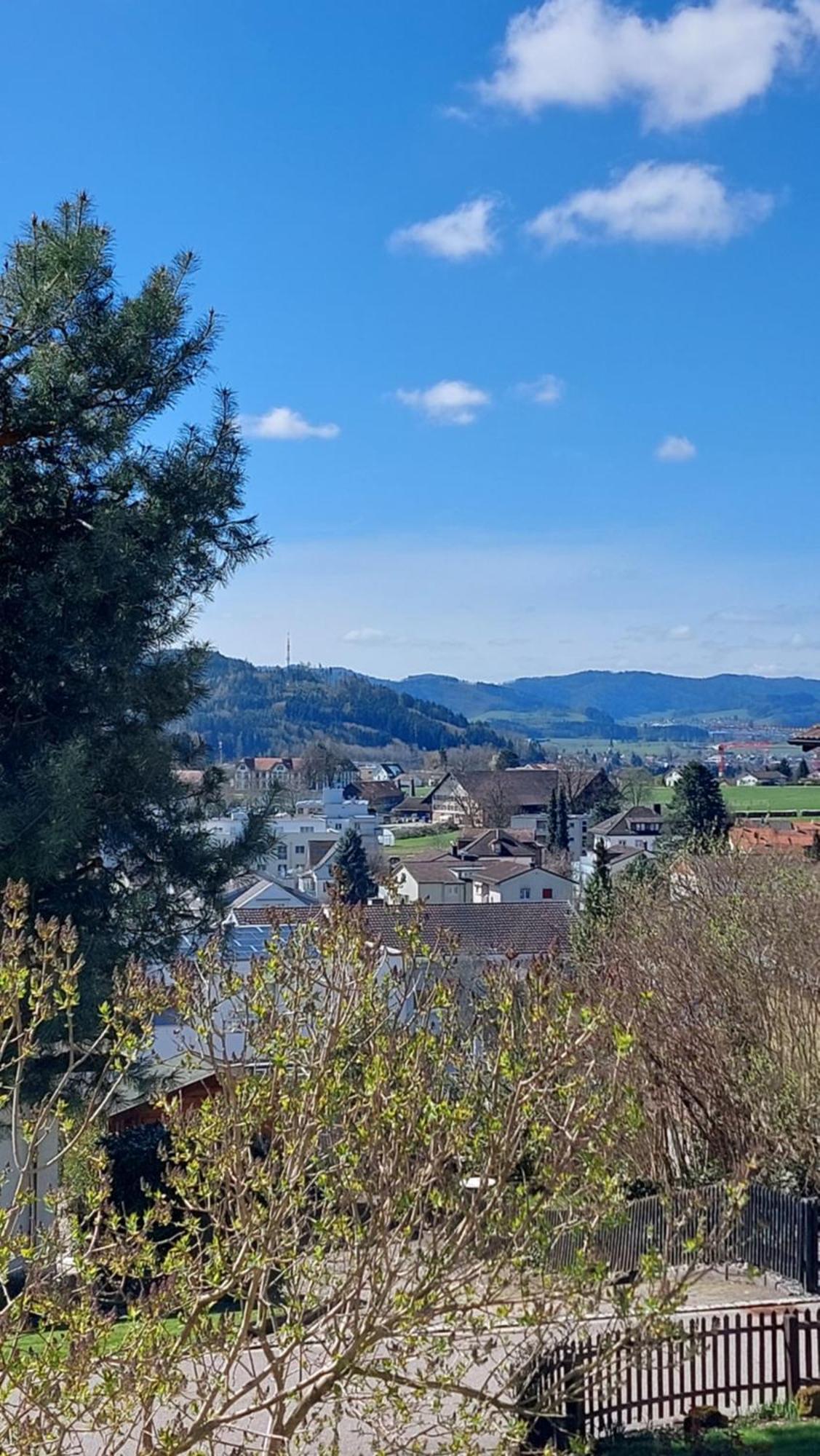 Stilvolle 4,5 Zimmer-wohnung 90m2 - Fuer Urlaub & Business Wil